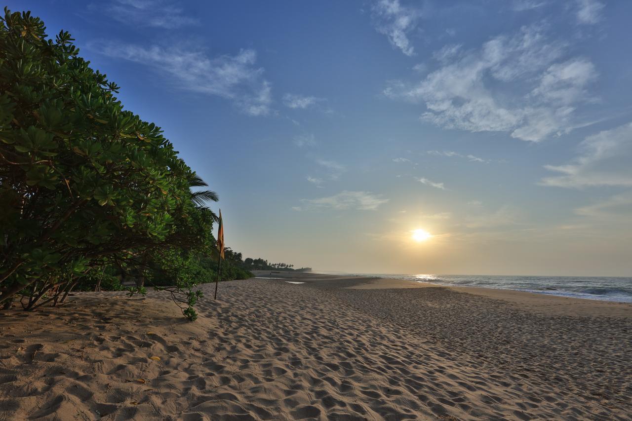 Mangrove Beach Cabana Tangalle Exterior foto